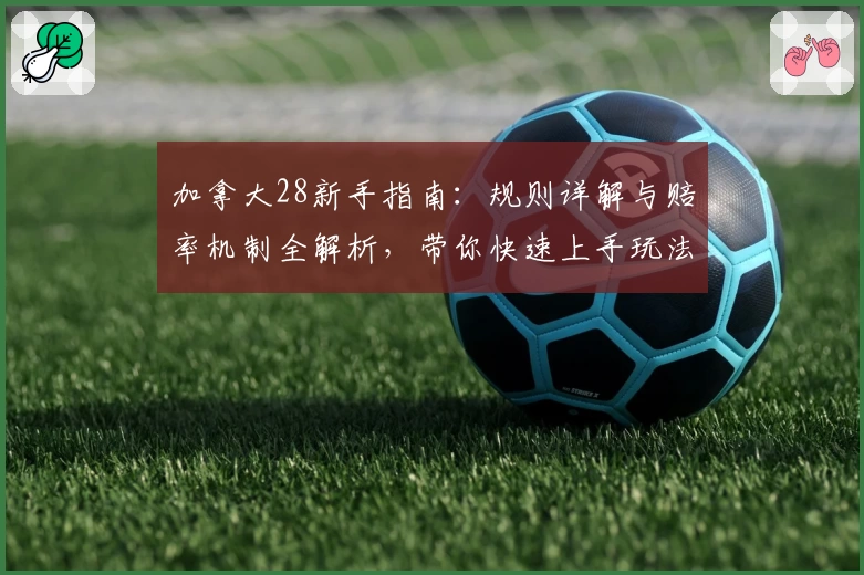 加拿大28新手指南：规则详解与赔率机制全解析，带你快速上手玩法技巧