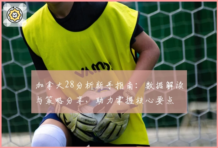 加拿大28分析新手指南：数据解读与策略分享，助力掌握核心要点