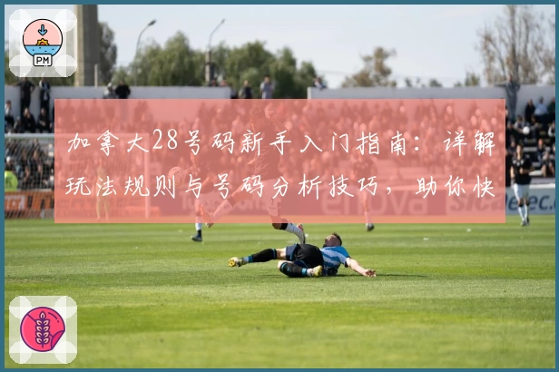 加拿大28号码新手入门指南：详解玩法规则与号码分析技巧，助你快速上手探索新乐趣