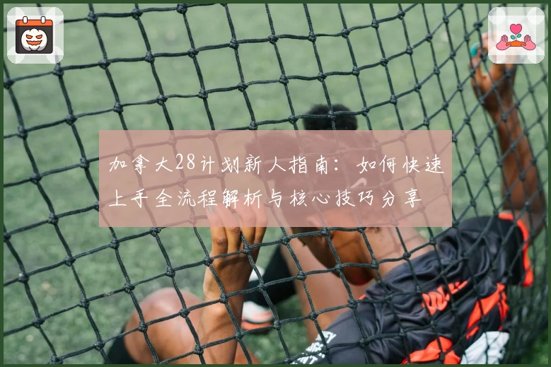 加拿大28计划新人指南:如何快速上手全流程解析与核心技巧分享