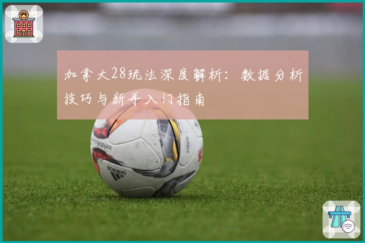 加拿大28玩法深度解析：数据分析技巧与新手入门指南
