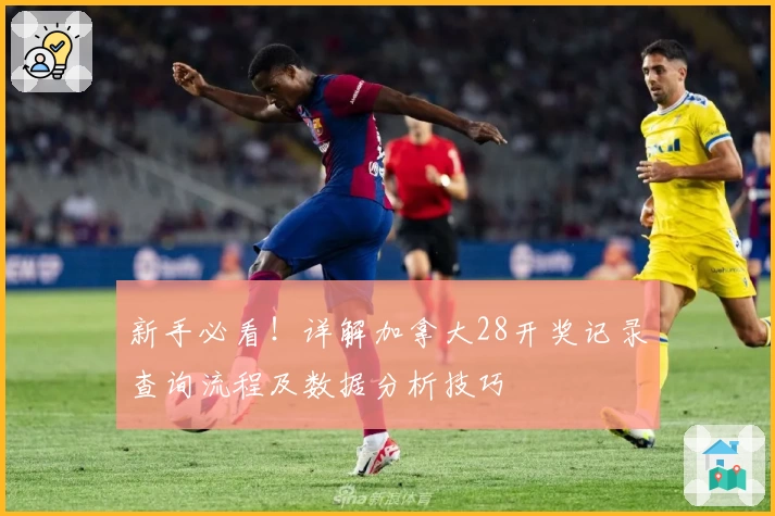 新手必看!详解加拿大28开奖记录查询流程及数据分析技巧