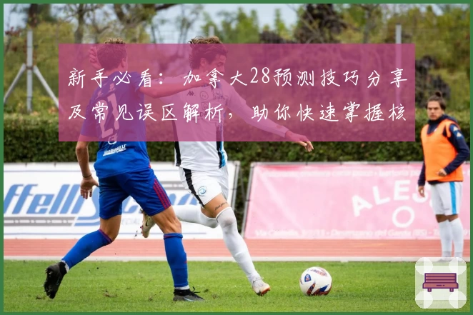 新手必看：加拿大28预测技巧分享及常见误区解析，助你快速掌握核心策略