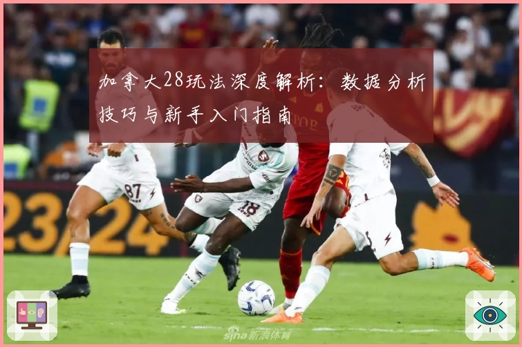 加拿大28玩法深度解析:数据分析技巧与新手入门指南