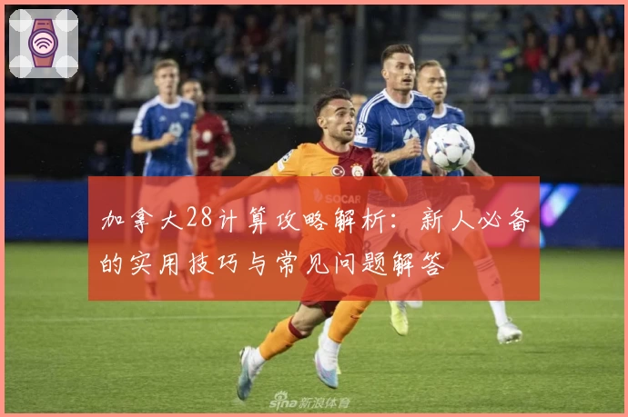 加拿大28计算攻略解析：新人必备的实用技巧与常见问题解答