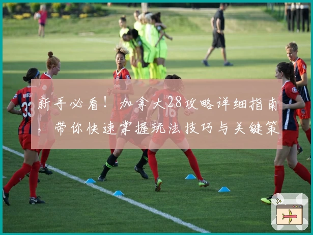 新手必看！加拿大28攻略详细指南，带你快速掌握玩法技巧与关键策略