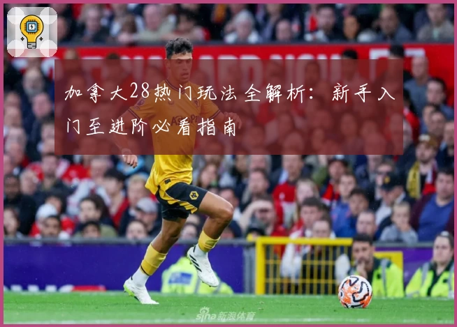 加拿大28热门玩法全解析：新手入门至进阶必看指南