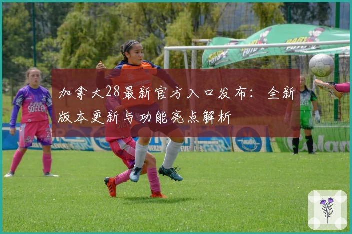 加拿大28最新官方入口发布：全新版本更新与功能亮点解析