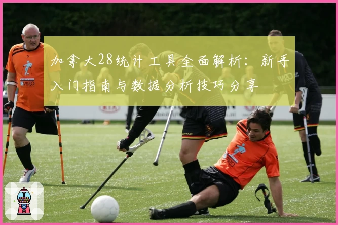 加拿大28统计工具全面解析：新手入门指南与数据分析技巧分享