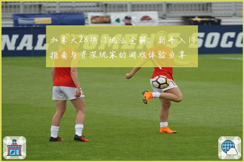 加拿大28热门玩法全解:新手入门指南与资深玩家的游戏体验分享