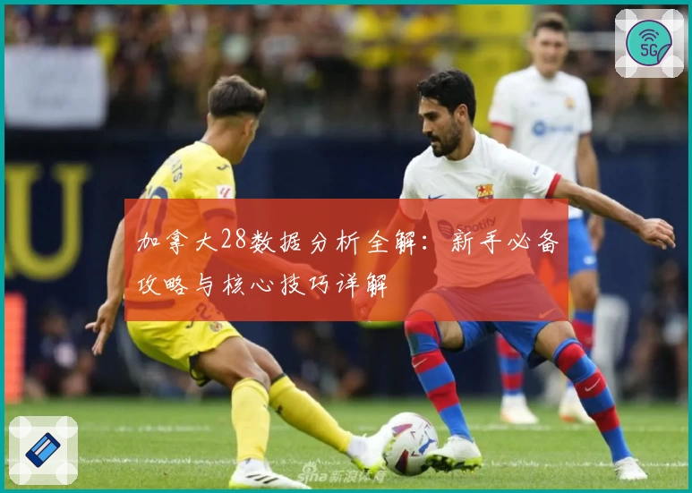 加拿大28数据分析全解：新手必备攻略与核心技巧详解