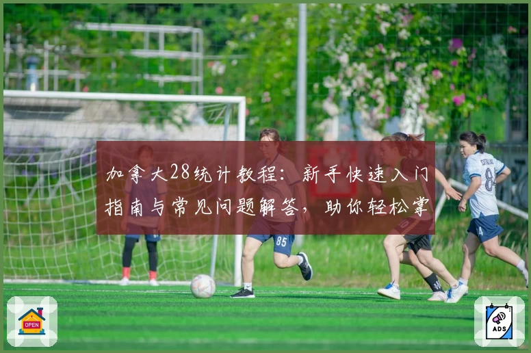 加拿大28统计教程：新手快速入门指南与常见问题解答，助你轻松掌握核心数据技巧