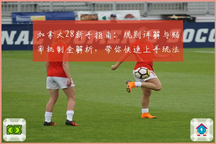 加拿大28新手指南:规则详解与赔率机制全解析,带你快速上手玩法技巧