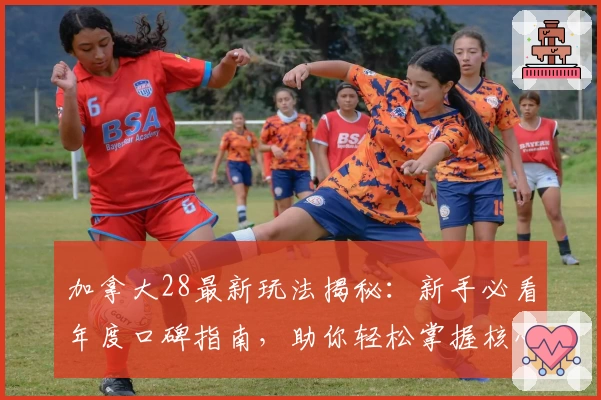 加拿大28最新玩法揭秘：新手必看年度口碑指南，助你轻松掌握核心技巧