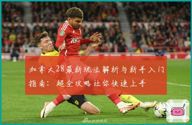 加拿大28最新玩法解析与新手入门指南:超全攻略让你快速上手