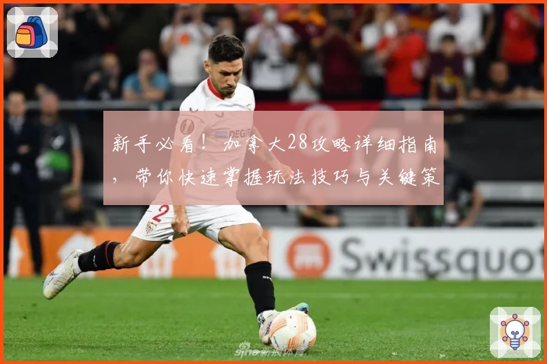 新手必看！加拿大28攻略详细指南，带你快速掌握玩法技巧与关键策略