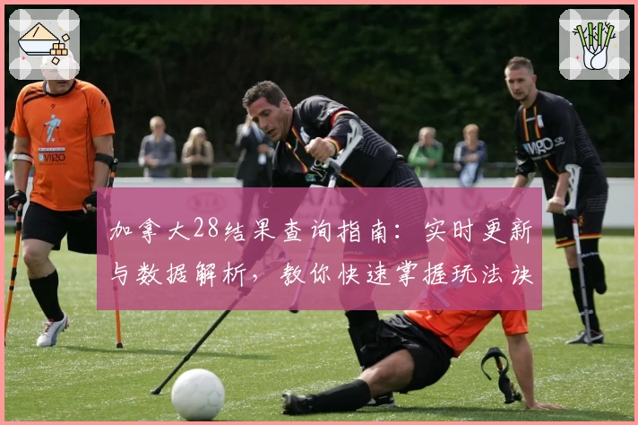 加拿大28结果查询指南：实时更新与数据解析，教你快速掌握玩法诀窍