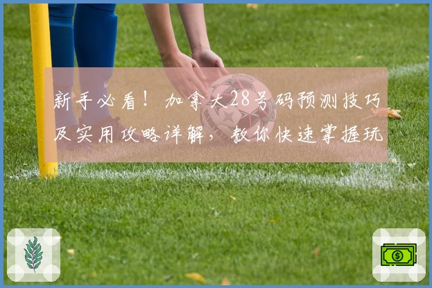 新手必看!加拿大28号码预测技巧及实用攻略详解,教你快速掌握玩法秘诀