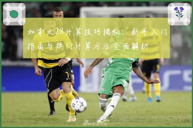 加拿大28计算技巧揭秘：新手入门指南与热门计算方法全面解析
