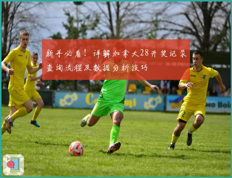 新手必看!详解加拿大28开奖记录查询流程及数据分析技巧