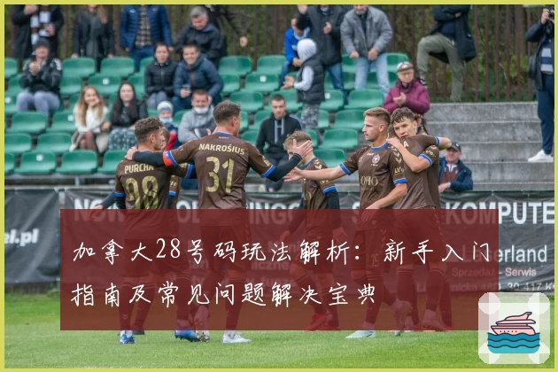加拿大28号码玩法解析：新手入门指南及常见问题解决宝典