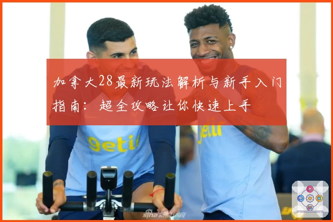 加拿大28最新玩法解析与新手入门指南：超全攻略让你快速上手