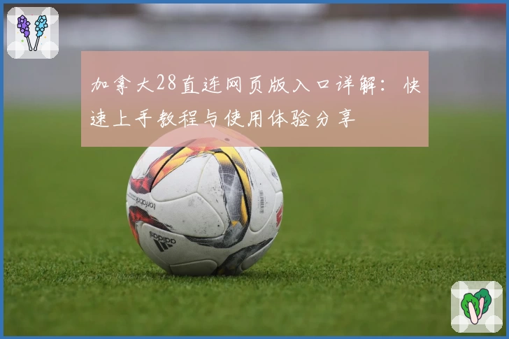 加拿大28直连网页版入口详解:快速上手教程与使用体验分享