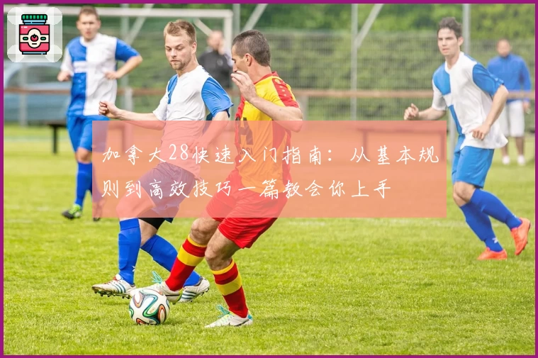 加拿大28快速入门指南:从基本规则到高效技巧一篇教会你上手