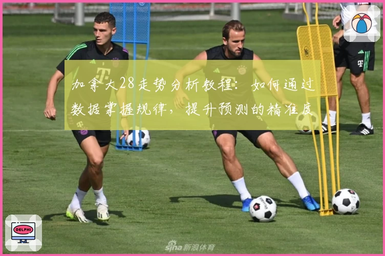 加拿大28走势分析教程:如何通过数据掌握规律,提升预测的精准度