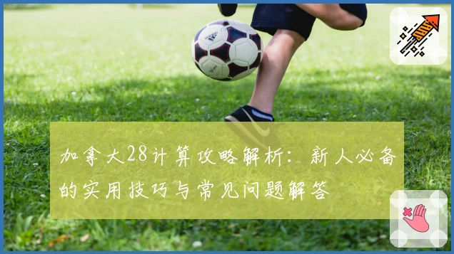 加拿大28计算攻略解析：新人必备的实用技巧与常见问题解答