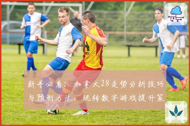 新手必看：加拿大28走势分析技巧与预测方法，玩转数字游戏提升策略！
