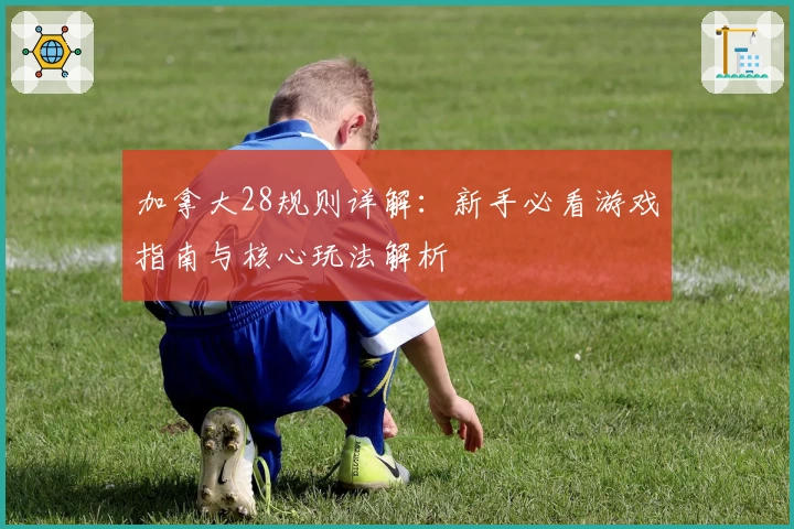 加拿大28规则详解：新手必看游戏指南与核心玩法解析