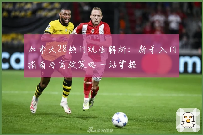 加拿大28热门玩法解析：新手入门指南与高效策略一站掌握