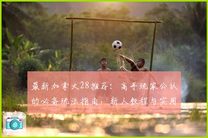 最新加拿大28推荐：高手玩家公认的必备玩法指南，新人教程与实用技巧全解读