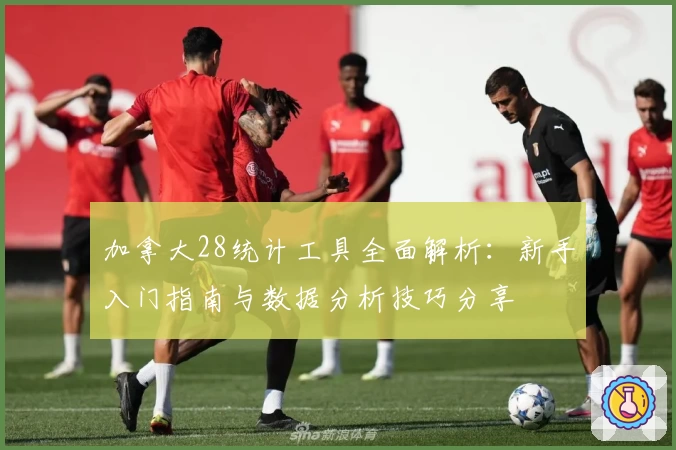 加拿大28统计工具全面解析：新手入门指南与数据分析技巧分享