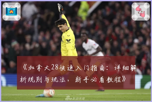 《加拿大28快速入门指南：详细解析规则与玩法，新手必看教程》