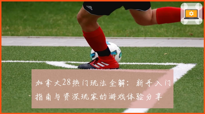 加拿大28热门玩法全解：新手入门指南与资深玩家的游戏体验分享