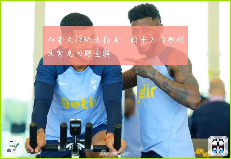 加拿大28玩法指南：新手入门教程及常见问题全解