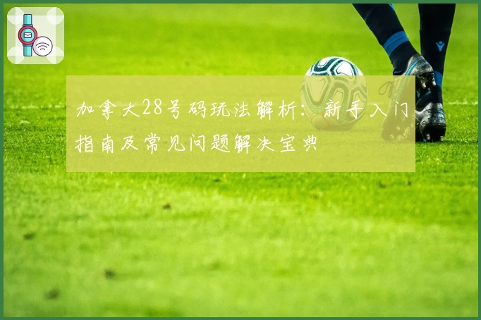 加拿大28号码玩法解析：新手入门指南及常见问题解决宝典