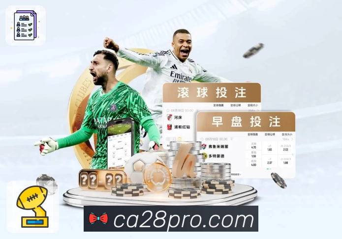 App 预览