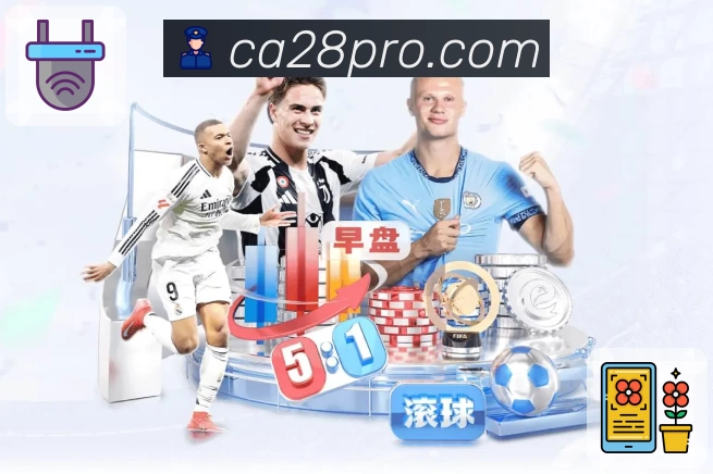 App 预览